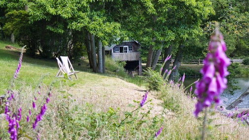 The image shows a peaceful outdoor scene by the lake at Winkworth. In the foreground, there are vibrant purple foxgloves, and an empty white deck chair facing the water. A grassy slope leads down to the water’s edge, and on the opposite bank, a boathouse, partially hidden by trees. The dense green foliage creates a canopy over the area, giving it a tranquil and secluded atmosphere.